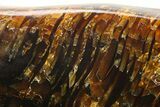 Piece Of Polished Indonesian Amber - Massive! #244154-4